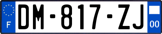 DM-817-ZJ