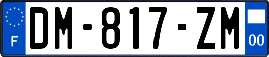 DM-817-ZM