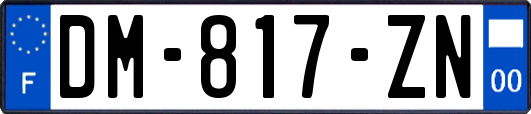 DM-817-ZN