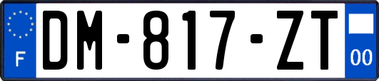 DM-817-ZT