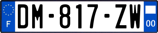 DM-817-ZW