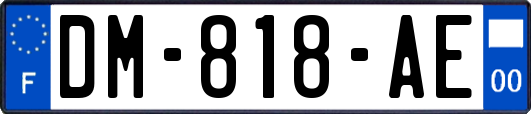 DM-818-AE