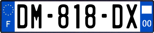 DM-818-DX