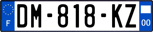 DM-818-KZ