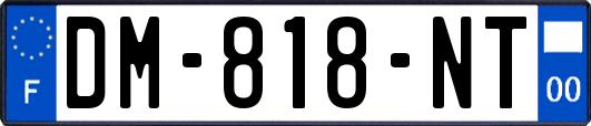 DM-818-NT