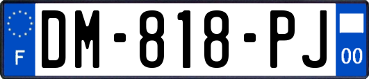 DM-818-PJ