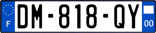 DM-818-QY