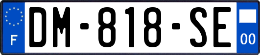 DM-818-SE