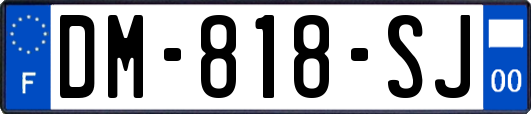 DM-818-SJ