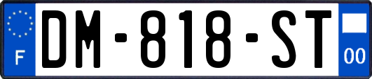DM-818-ST