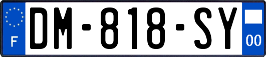 DM-818-SY