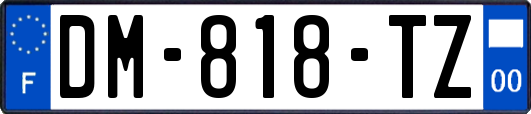 DM-818-TZ