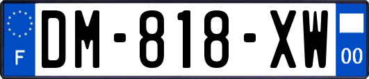 DM-818-XW