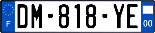 DM-818-YE