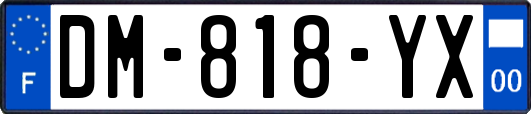 DM-818-YX