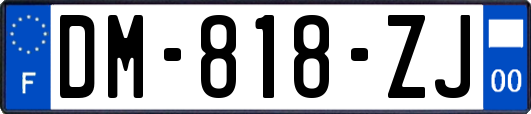 DM-818-ZJ