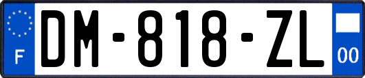 DM-818-ZL