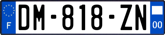 DM-818-ZN