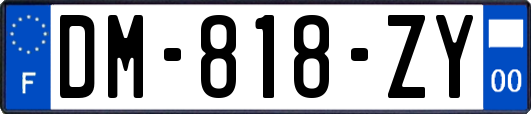 DM-818-ZY