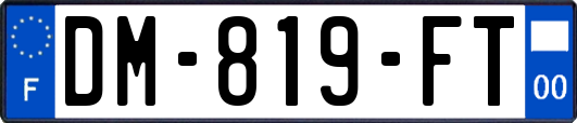 DM-819-FT