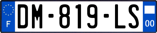 DM-819-LS