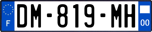 DM-819-MH