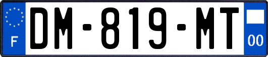 DM-819-MT