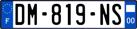 DM-819-NS