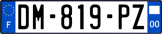 DM-819-PZ