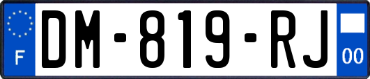 DM-819-RJ