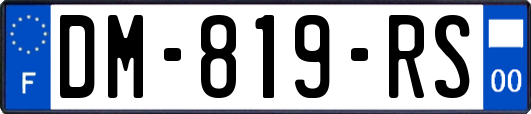 DM-819-RS