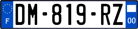 DM-819-RZ