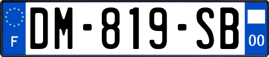 DM-819-SB
