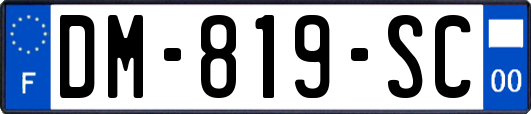 DM-819-SC