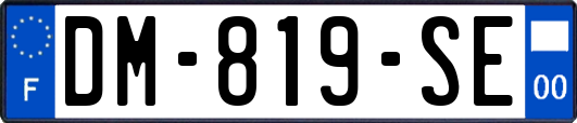 DM-819-SE