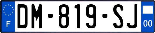 DM-819-SJ