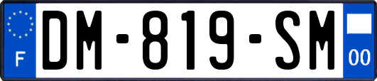 DM-819-SM