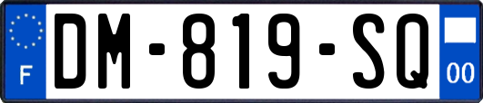 DM-819-SQ