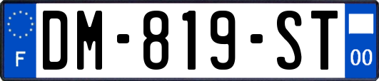 DM-819-ST