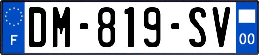 DM-819-SV