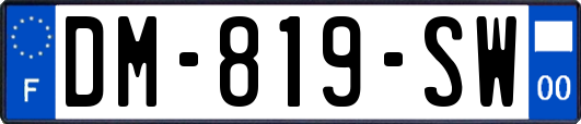 DM-819-SW