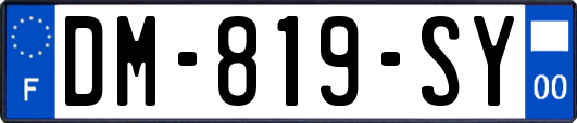 DM-819-SY