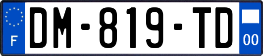 DM-819-TD