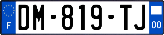 DM-819-TJ