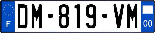 DM-819-VM