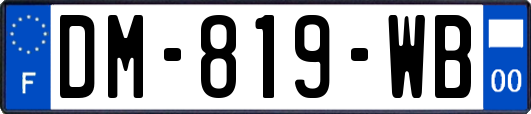 DM-819-WB