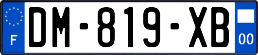 DM-819-XB