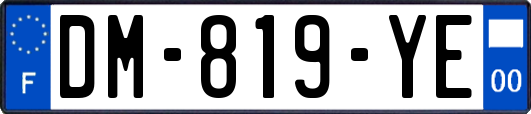 DM-819-YE