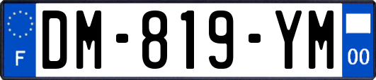 DM-819-YM