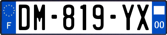 DM-819-YX